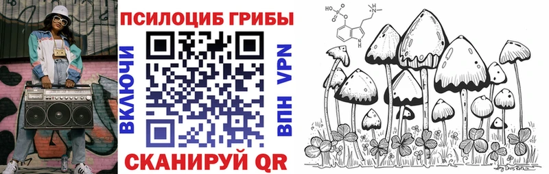 Псилоцибиновые грибы Magic Shrooms  купить наркоту  Новокузнецк 